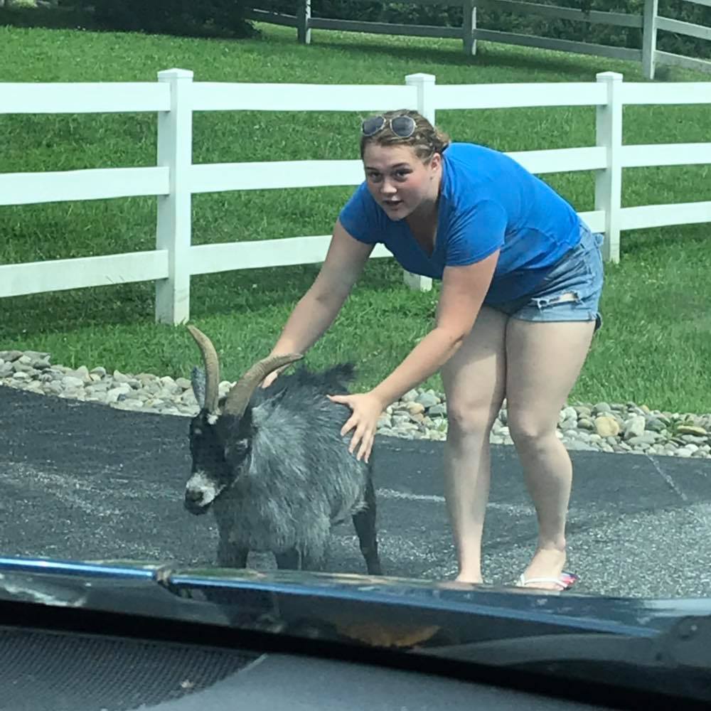 Meet your Posher, Pamela